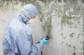 Best Comprehensive Air Testing for Mold Contaminants  in Old Orchard, PA